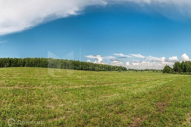 Тюмень городской округ, СНТ Поляна фото