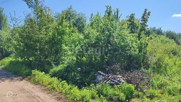 земля р-н Жуковский д Шопино Калуга городской округ, Романовский переулок, 43 фото 2