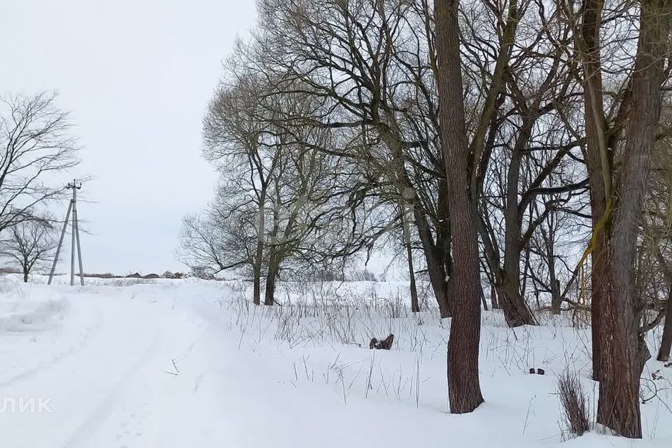 земля р-н Перемышльский д. Верхнее Косьмово фото 2