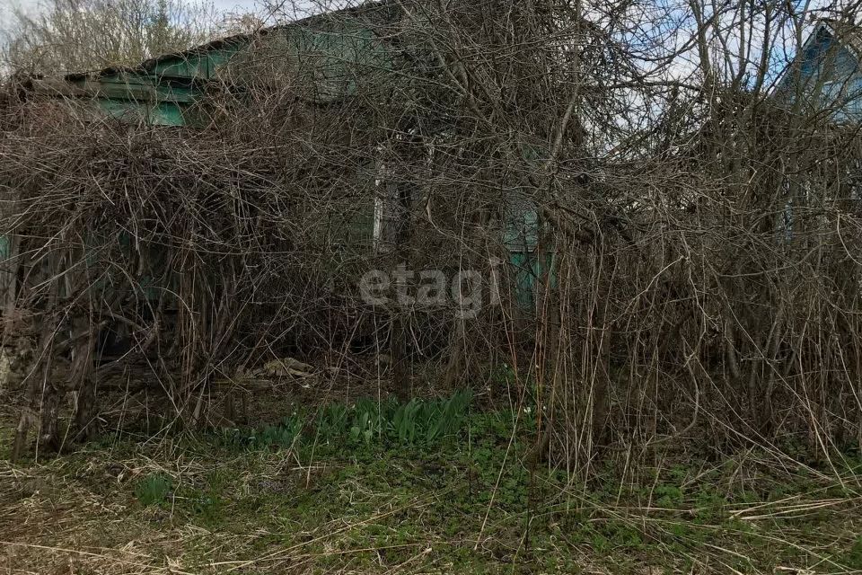 дом р-н Тарусский тер Сдт Автомобилист Калуга городской округ, улица Фиалка, 171 фото 4