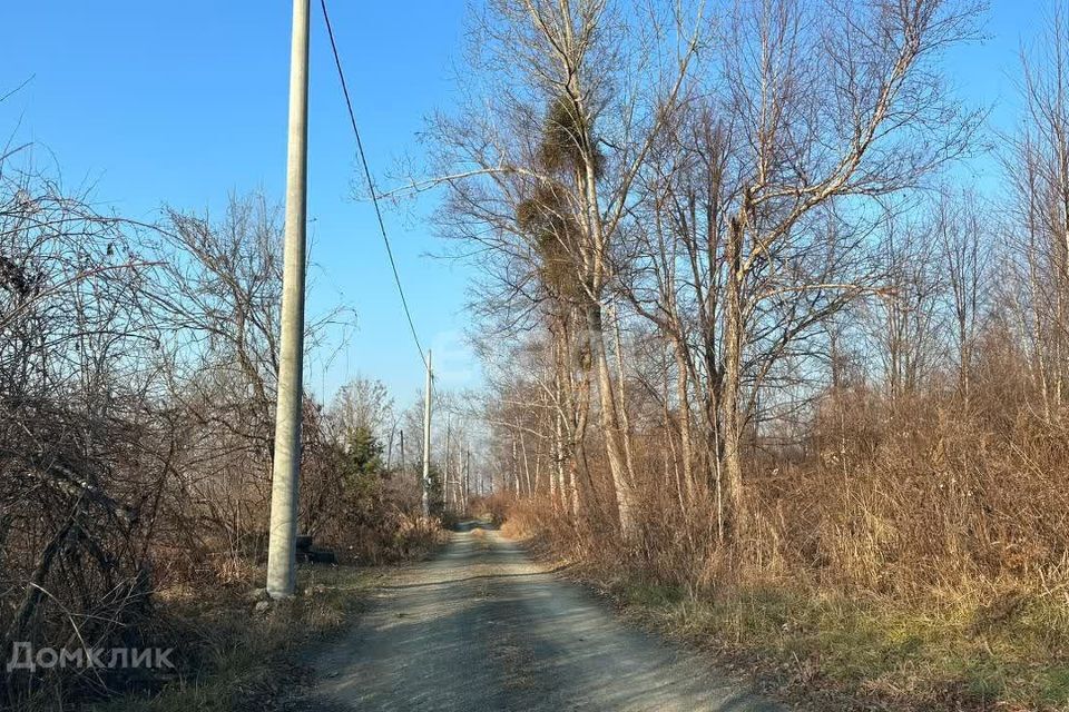 земля г Владивосток Артёмовский городской округ, СТ Солидарность фото 3