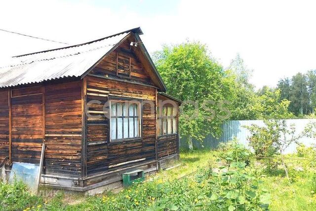 Тюмень городской округ, СТ Меркурий фото