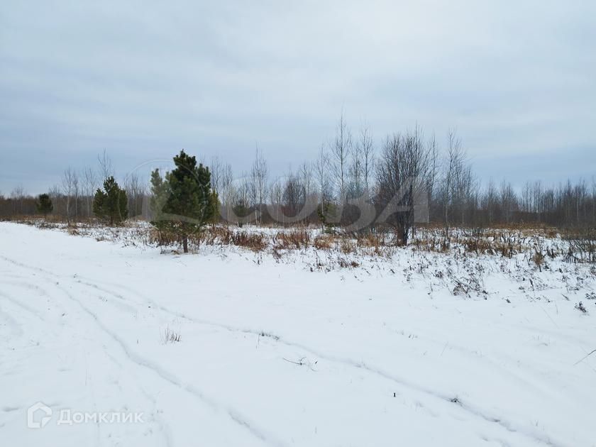 земля р-н Нижнетавдинский фото 3