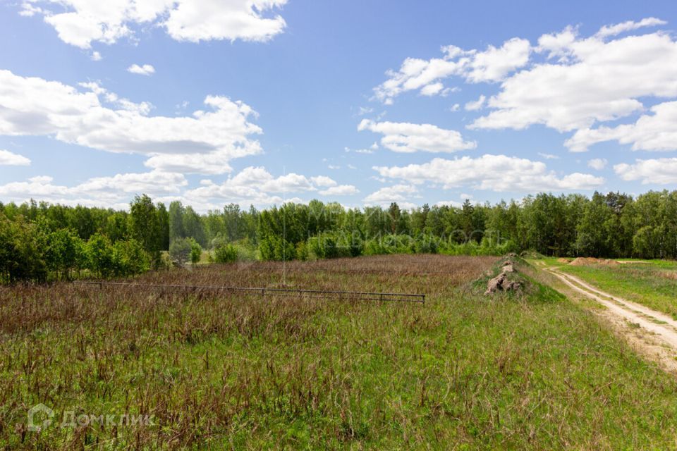 земля р-н Тюменский с. Каменка фото 2