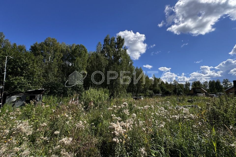 земля г Тюмень снт Сосенка ул Сосновая 6/8 Тюмень городской округ фото 3