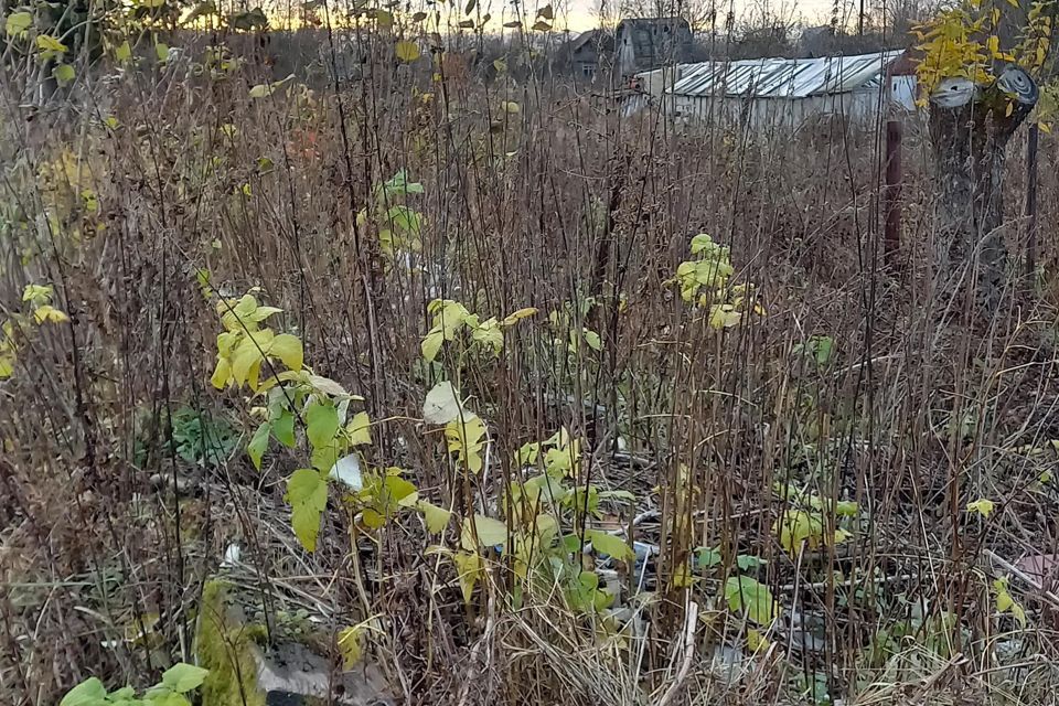 земля г Вологда Вологда городской округ, СТ Энергетик фото 4