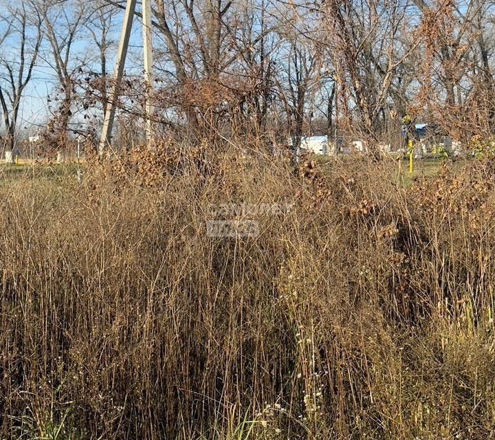 земля г Армавир п Заветный Армавир городской округ, СТ Берёзка фото 3