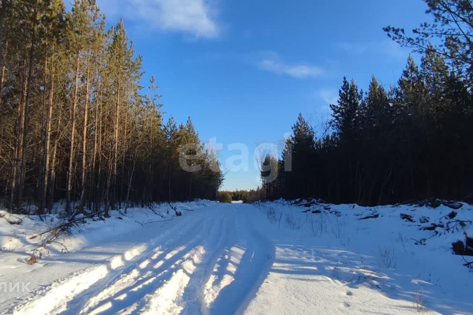 земля р-н Талицкий г Талица ул Молодежная фото 10