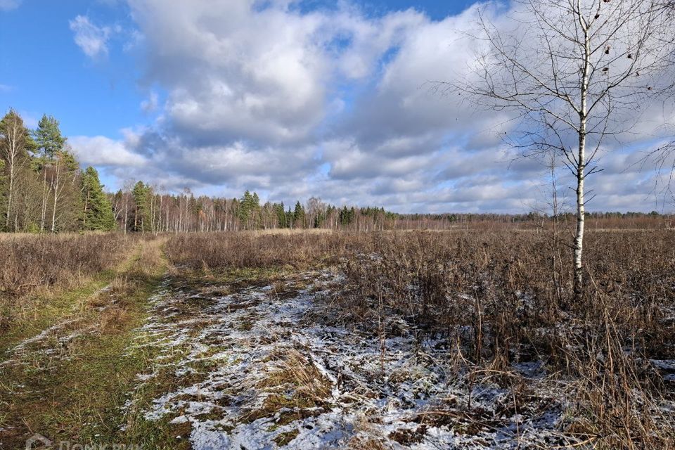 земля р-н Киржачский д Рязанки ул Бобры фото 8