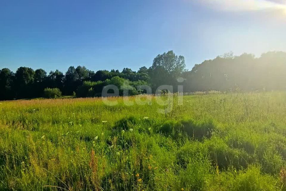 земля р-н Ферзиковский фото 9