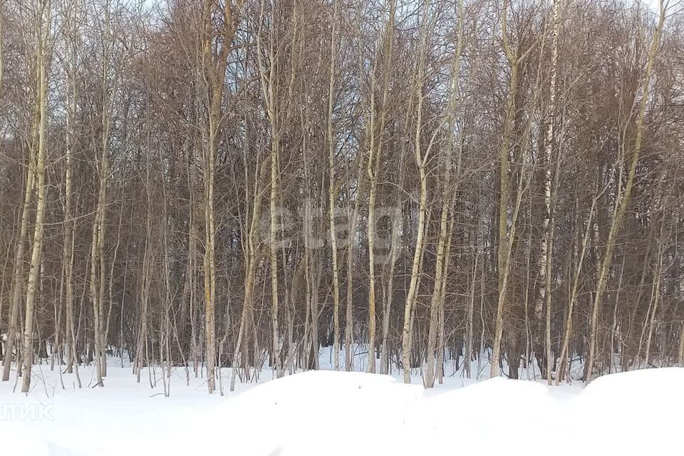 земля г Калуга д Лихун Калуга городской округ, д. Лихун фото 6