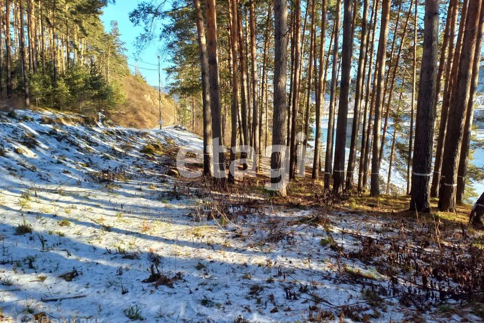 земля Дивногорск городской округ, пос. Усть-Мана фото 8