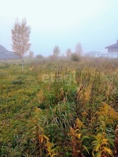 дом р-н Зеленоградский г Зеленоградск фото 5