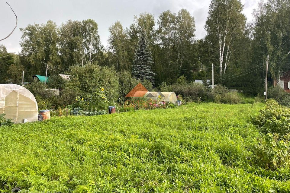 земля г Новосибирск р-н Дзержинский СНТ Заря, Новосибирск городской округ фото 5