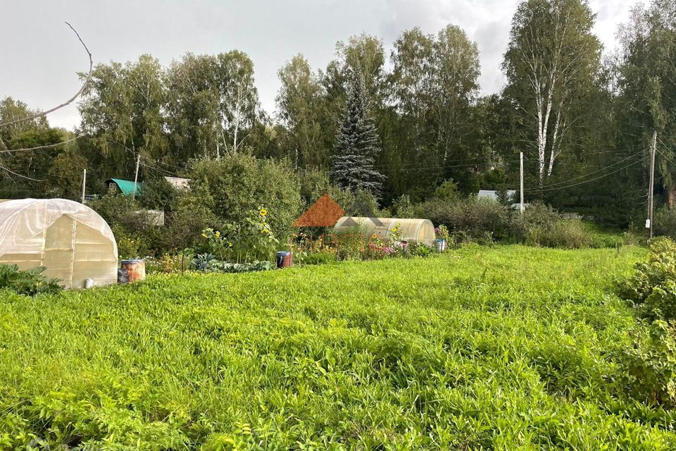 земля г Новосибирск р-н Дзержинский СНТ Заря, Новосибирск городской округ фото 10