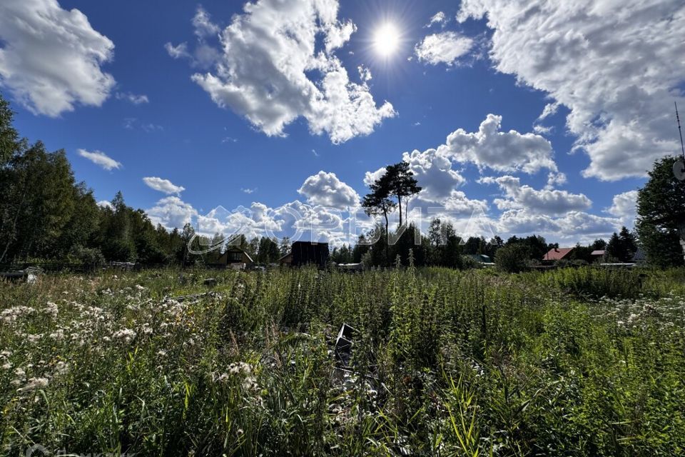 земля г Тюмень снт Сосенка ул Сосновая 6/8 Тюмень городской округ фото 5