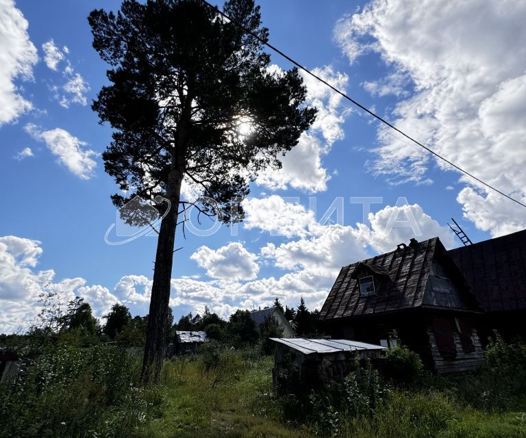 земля г Тюмень снт Сосенка ул Сосновая 6/8 Тюмень городской округ фото 9