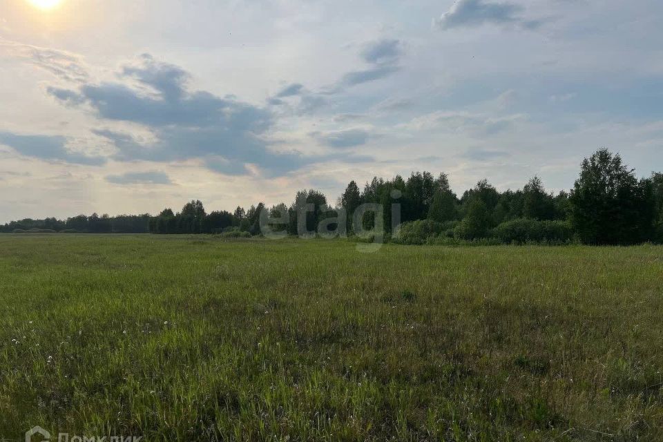 земля р-н Тюменский с. Салаирка фото 5