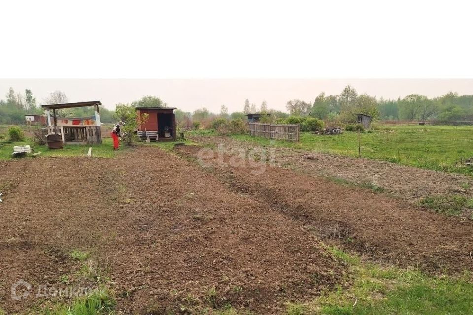 земля г Хабаровск р-н Железнодорожный СНТ Надежда, городской округ Хабаровск фото 5