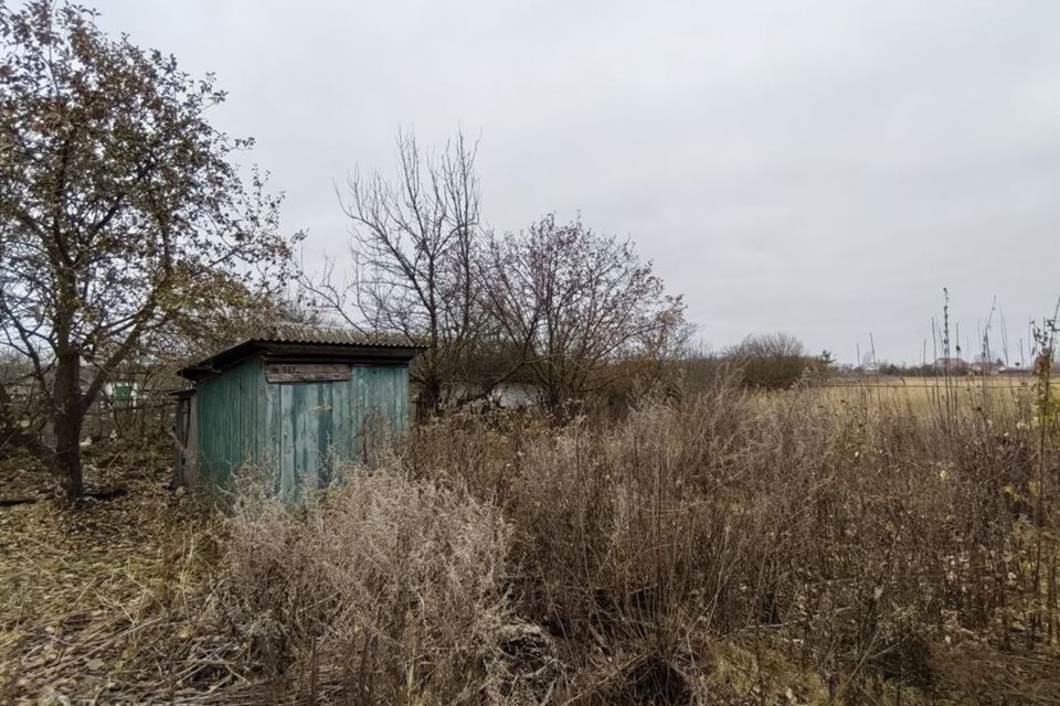 дом р-н Пронский рп Пронск ул Нижне-Архангельская 36 фото 8