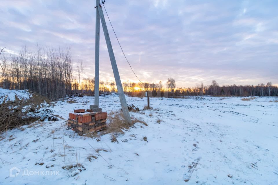 земля р-н Нижнетавдинский с Нижняя Тавда ул Сибирская Нижнетавдинское сельское поселение фото 8