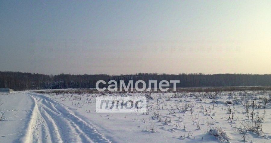 офис р-н Мошковский с Томилово фото 4