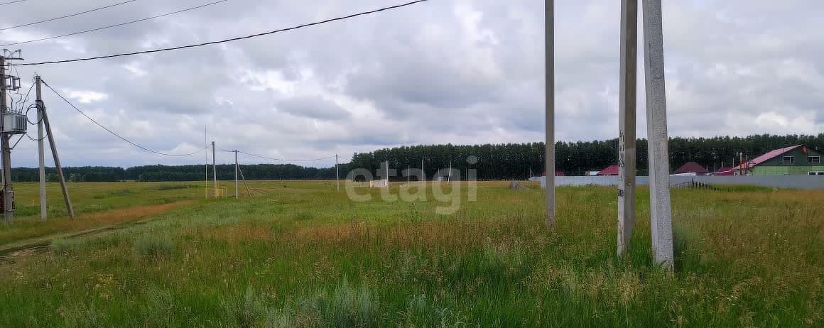 земля р-н Омский с Усть-Заостровка ул Березовая Усть-Заостровское сельское поселение, Омск фото 4