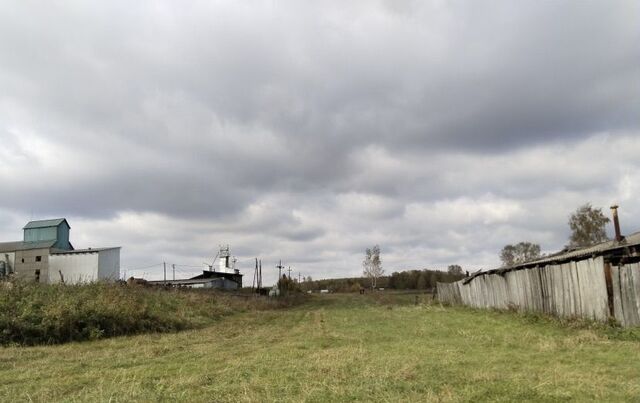 д Новоалександровка ул Минская Новопятницкий сельсовет, Уяр фото