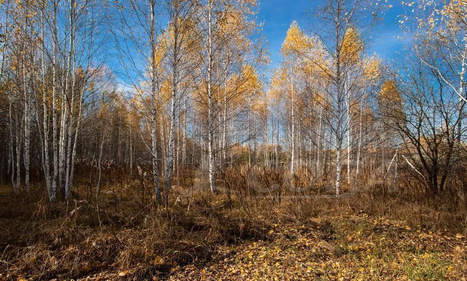 земля р-н Нижнетавдинский д Штакульская Тюмень фото 5