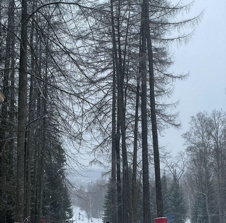 дом городской округ Солнечногорск д Коськово снт Ветеран ул. Речная, 18 фото 3