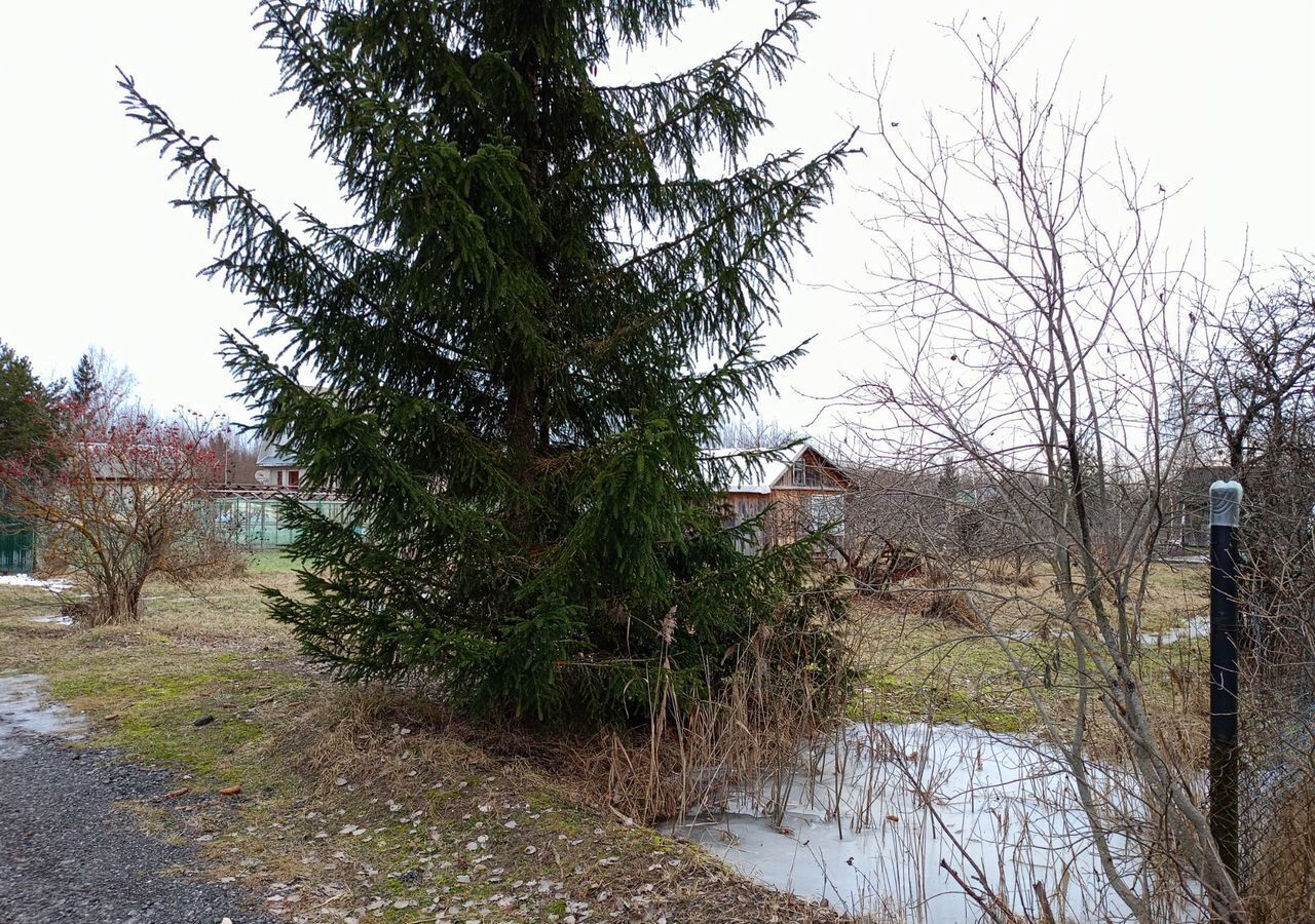 земля р-н Новгородский рп Панковка Панковское городское поселение, садоводческий массив № 3, Береста, садоводческое товарищество фото 23