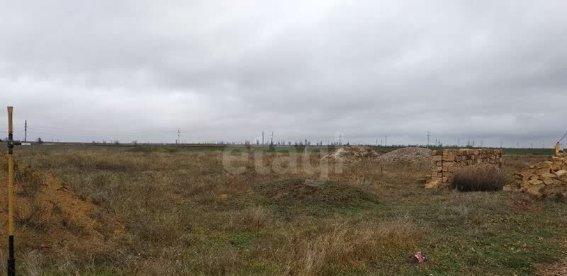 земля р-н Сакский с Лесновка ул Тополиная Лесновское сельское поселение, Саки фото 6