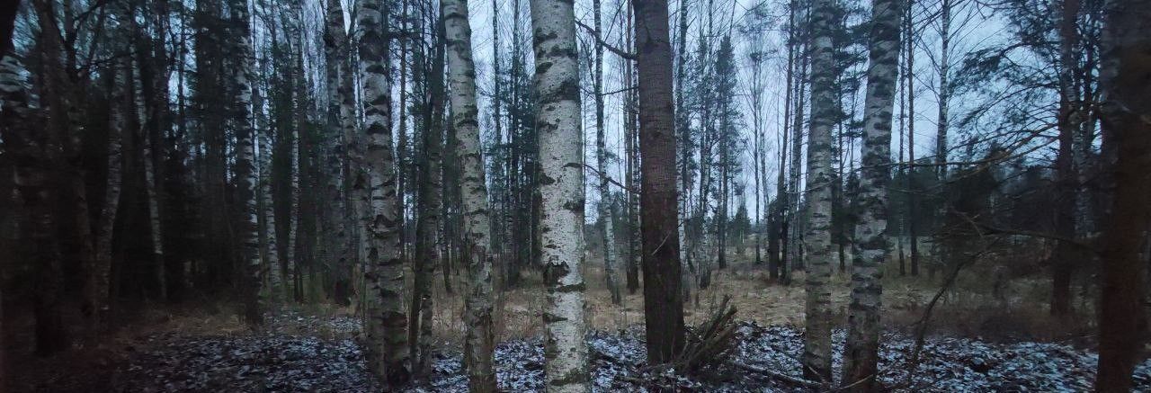 офис городской округ Талдомский п Запрудня фото 1