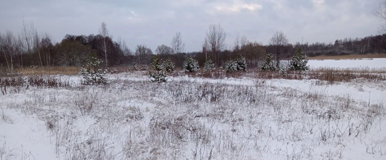 офис городской округ Егорьевск д Власовская фото 1