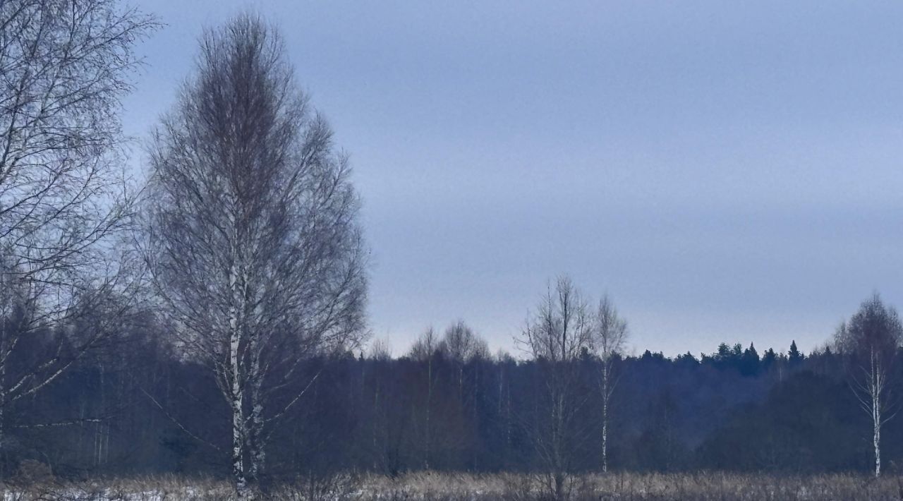 офис городской округ Клин д Орлово ул Центральная фото 1