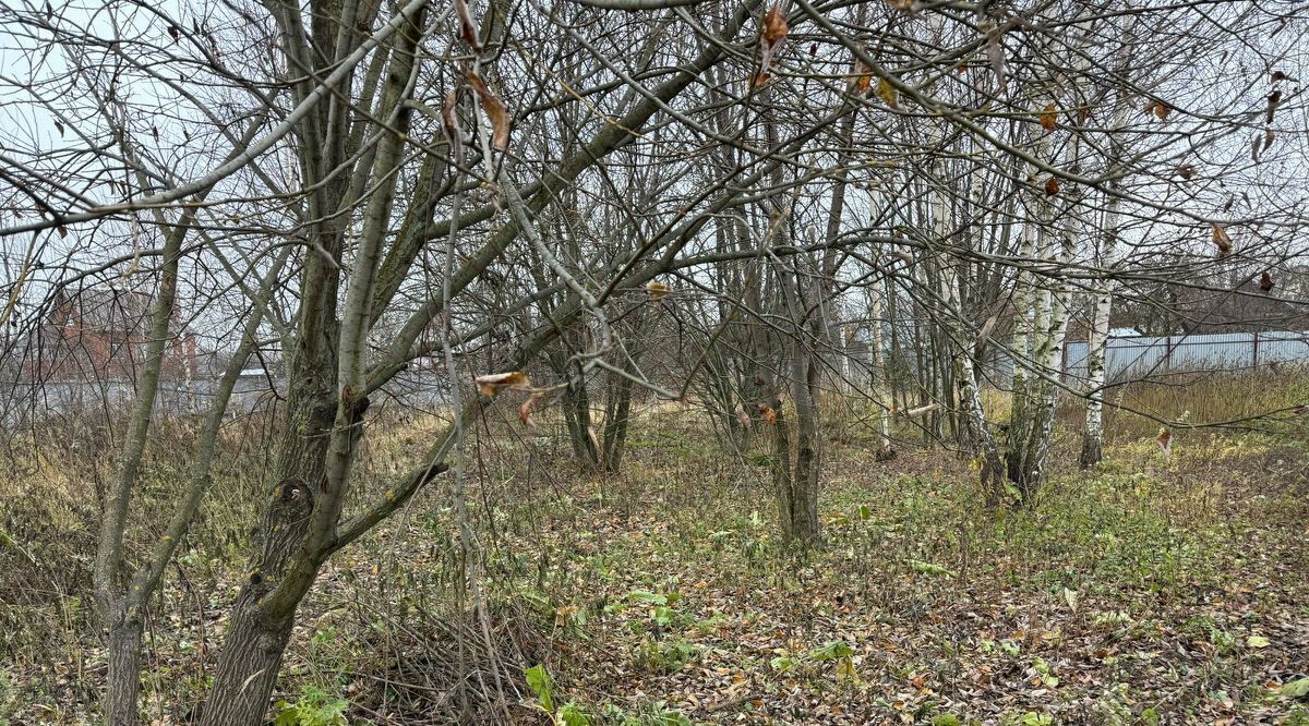 офис городской округ Богородский д Новое Подвязново фото 2