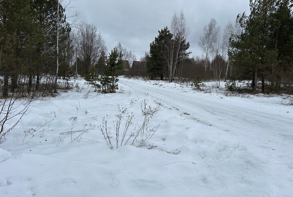 земля р-н Александровский д Коровино муниципальное образование Каринское фото 4