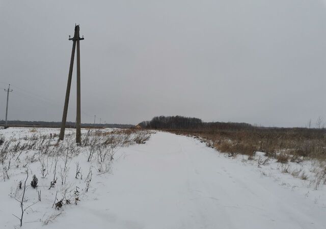 р-н Тюменский Горьковское муниципальное образование, Тюмень фото