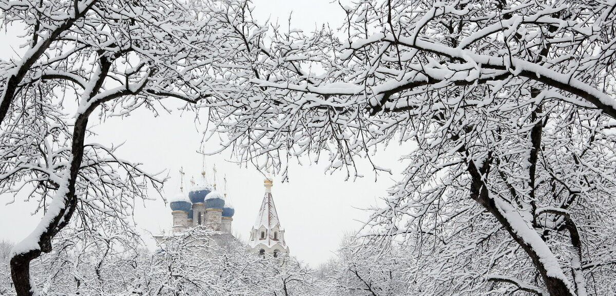 квартира г Москва метро Коломенская пр-кт Андропова 33к/2 фото 26