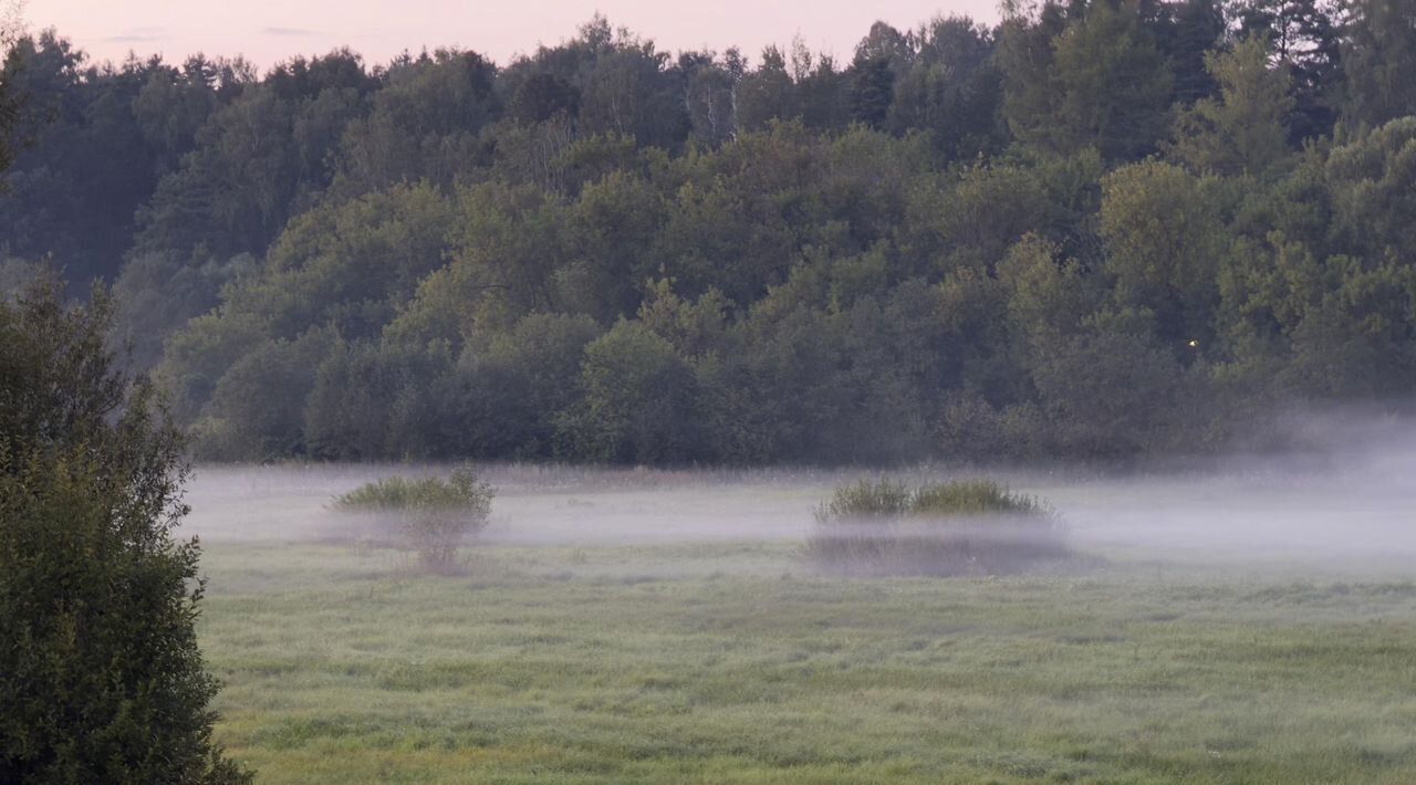 дом городской округ Дмитровский д Целеево фото 32