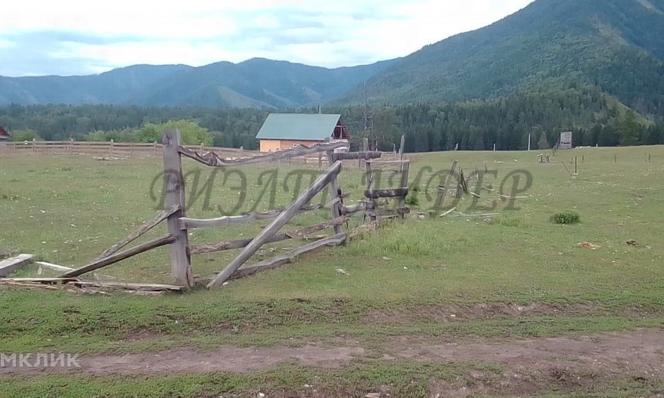 земля р-н Усть-Коксинский п Тюгурюк Лесная фото 2