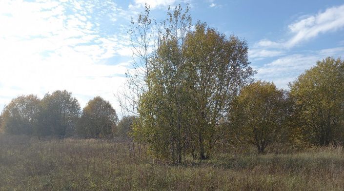 офис городской округ Дмитровский д Богданово фото 1