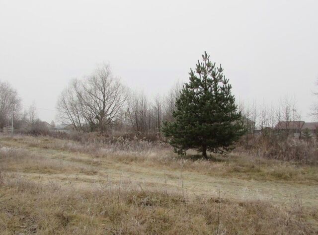 офис с Нижнее Хорошово Коломна городской округ фото