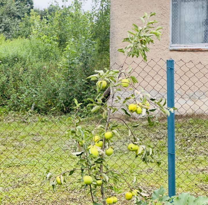 дом р-н Багратионовский п Новоселово Багратионовский муниципальный округ фото 35