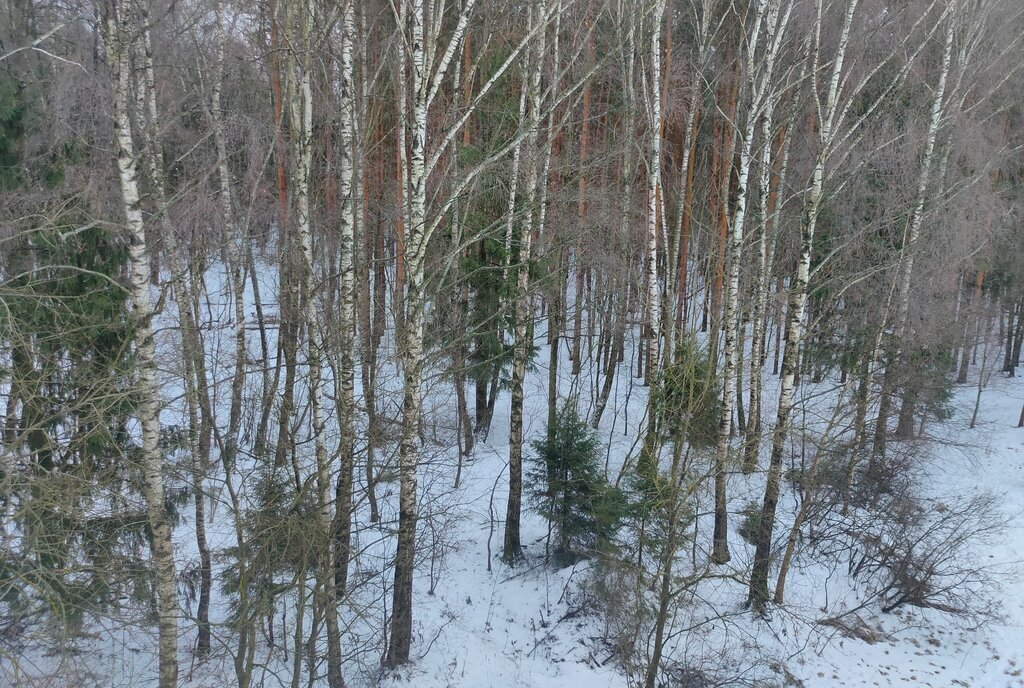 квартира г Москва п Щаповское п Курилово ул Лесная 4 метро Подольск ТиНАО Краснопахорский район фото 19