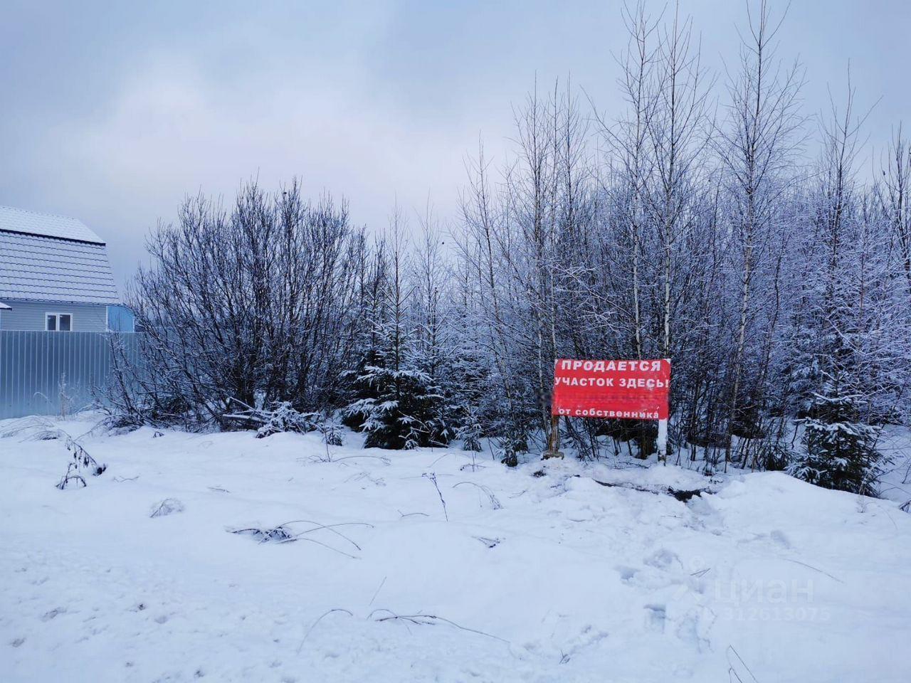 земля городской округ Дмитровский д Дубровки ул Триумфальная 16 фото 11