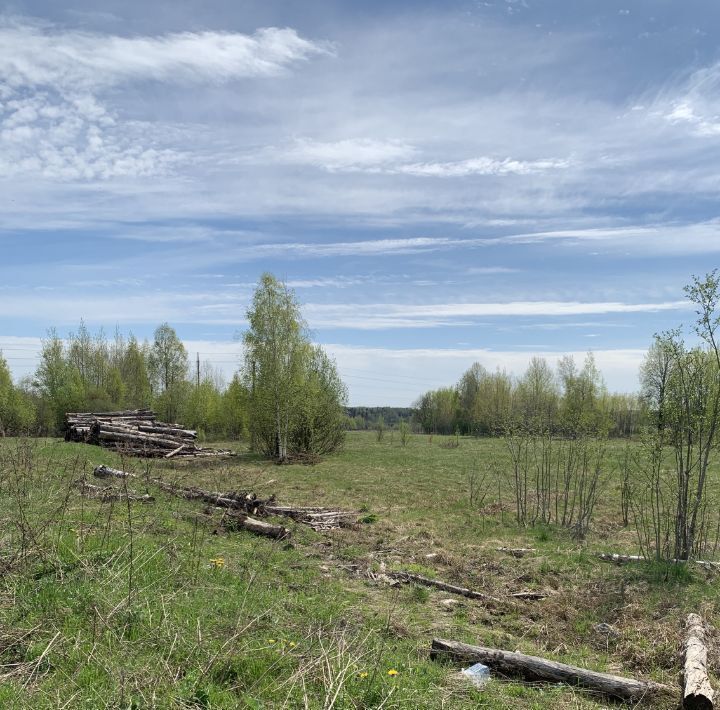 земля р-н Даниловский д Бабаево с пос, Дмитриевское фото 47