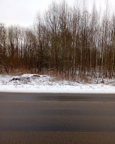 д Маслено ул Новгородская 20 Трегубовское сельское поселение, Чудово фото