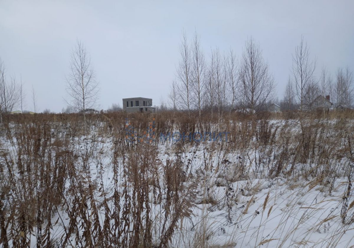 земля р-н Богородский п Буревестник коттеджный пос. Бурцево фото 5