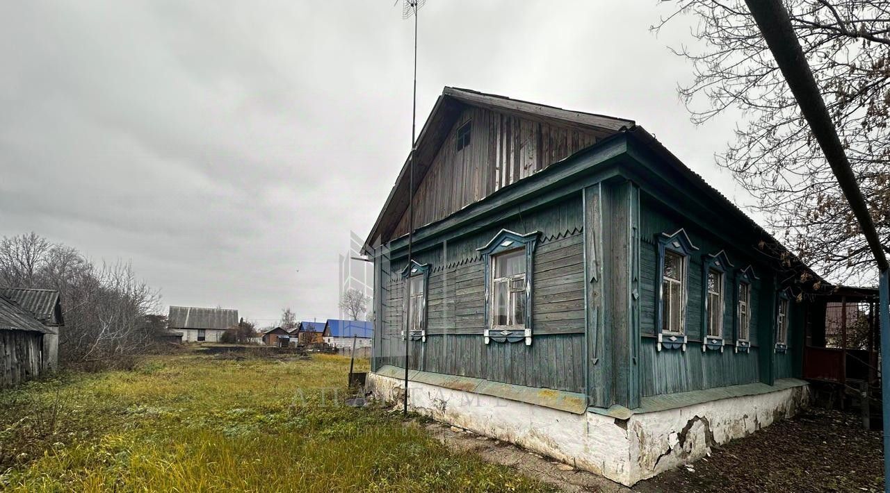 дом р-н Александро-Невский рп Александро-Невский ул Молодежная 4 фото 1